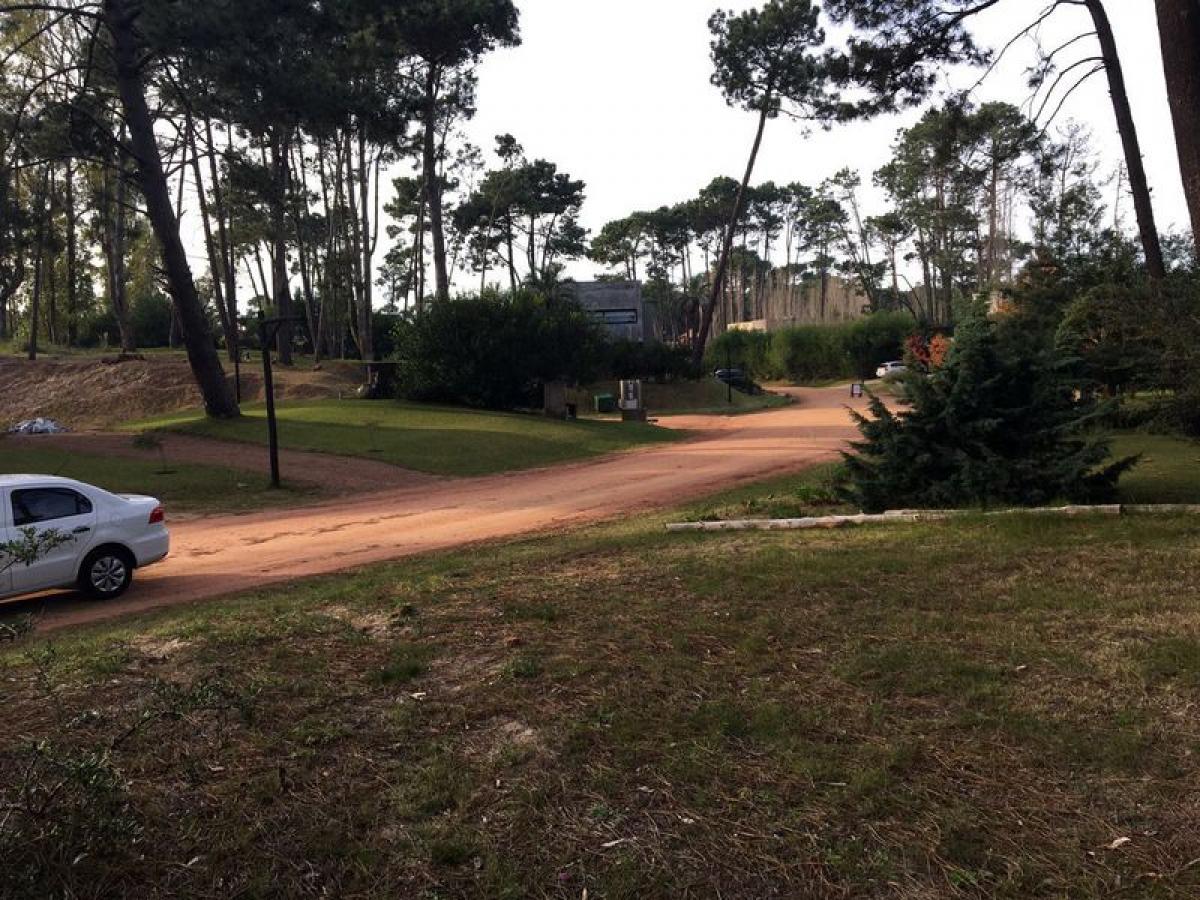  Land in Maldonado, Uruguay No. 15602