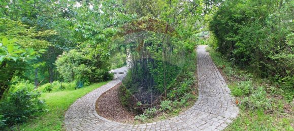 Casa T10 em Penafiel, Portugal N.º 60100 6