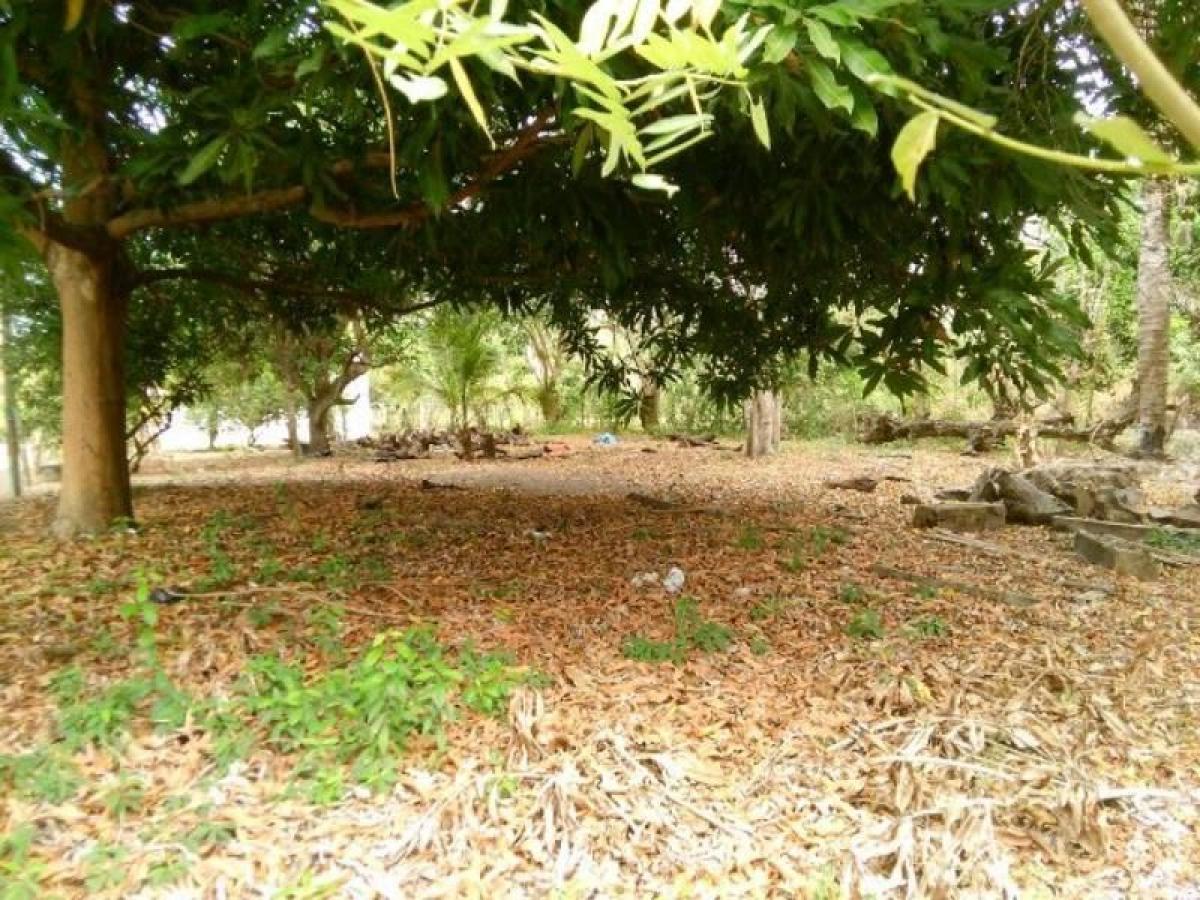  Land in Cordoba, Colombia No. 272