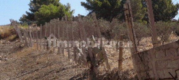 1-Zimmer Gewerbliche Immobilie in Agrigento, Italy, Nr. 267415 11