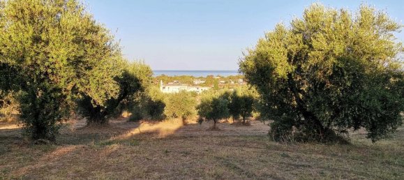 6253m² Hotel in Zacharo, Greece No. 53256 9