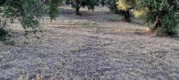 6253m² Hotel in Zacharo, Greece No. 53256 10