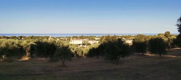 6253m² Hotel in Zacharo, Greece No. 53256 4