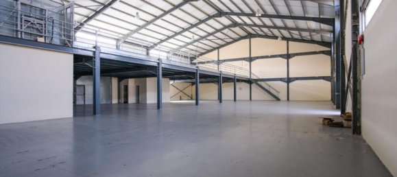 Gewerbliche Immobilie in Nicosia, Cyprus 880m², Nr. 24471 3