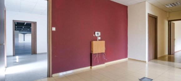 Gewerbliche Immobilie in Nicosia, Cyprus 880m², Nr. 24471 9