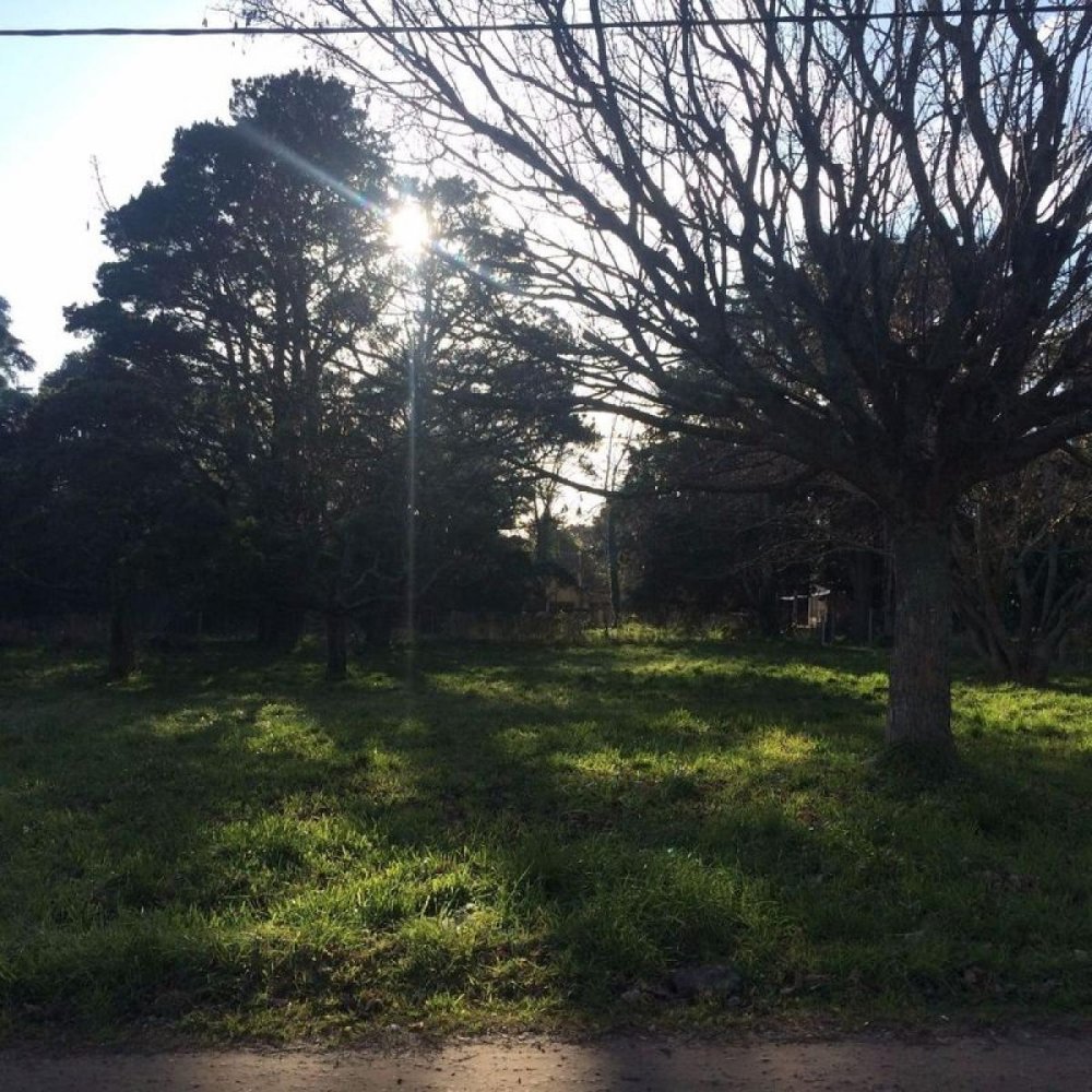 Земельный участок в Мар-дель-Плата, Аргентина № 114997