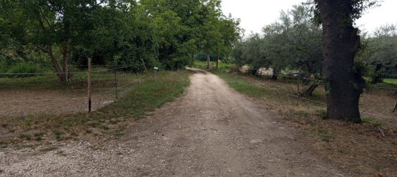 2 chambres Maison à Torino di Sangro, Italy No. 328318 47