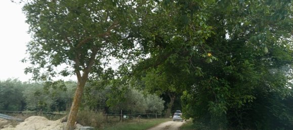 2 chambres Maison à Torino di Sangro, Italy No. 328318 34