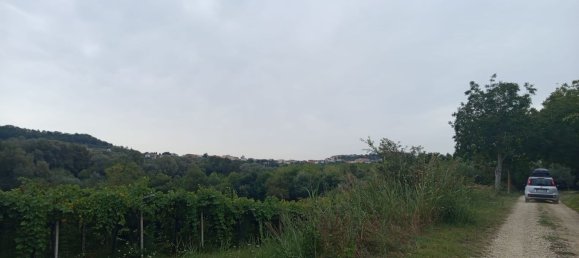 2 chambres Maison à Torino di Sangro, Italy No. 328318 33