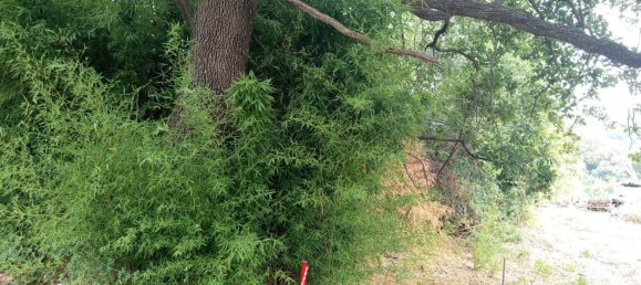 2 chambres Maison à Torino di Sangro, Italy No. 328318 35