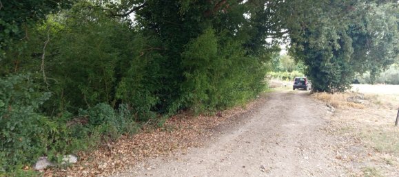 2 chambres Maison à Torino di Sangro, Italy No. 328318 48