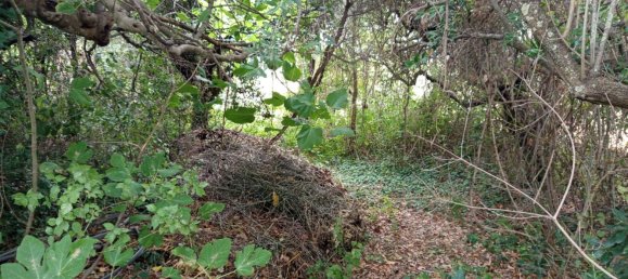 2 chambres Maison à Torino di Sangro, Italy No. 328318 36