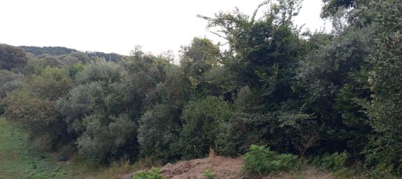 2 chambres Maison à Torino di Sangro, Italy No. 328318 46