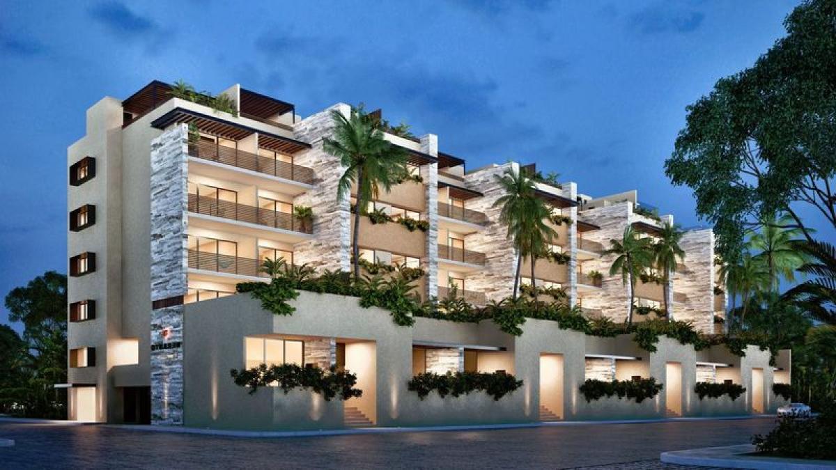 Estudio en Solidaridad, Mexico No. 184863