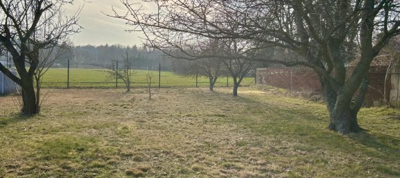 Moradia em banda de 4 divisões em Brandenburg, Germany N.º 91939 9