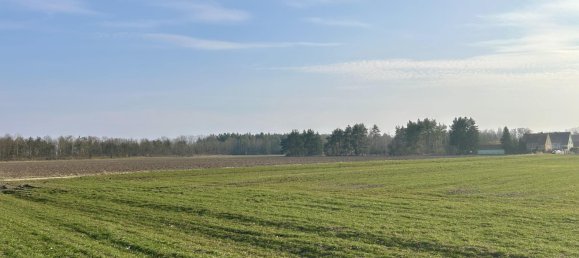 Moradia em banda de 4 divisões em Brandenburg, Germany N.º 91939 12