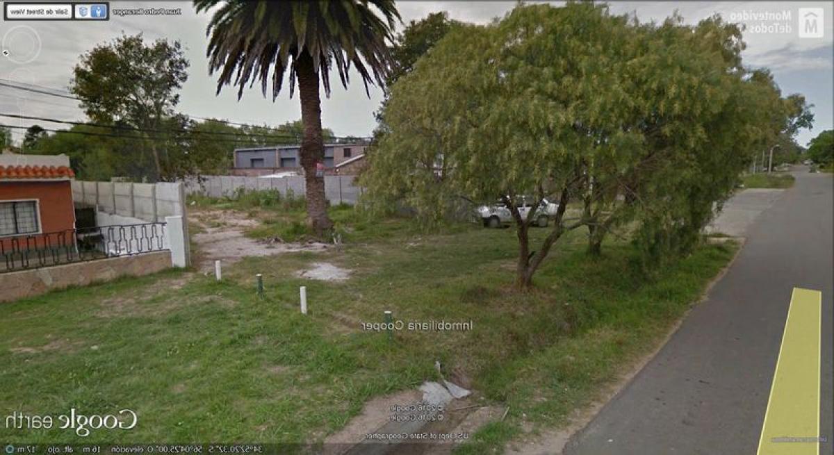  قطعة أرض في Montevideo, Uruguay رقم 14187