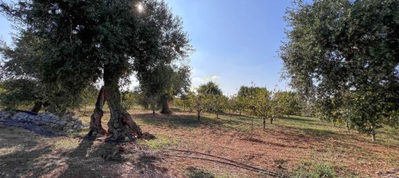 8-Zimmer Haus in Conversano, Italy, Nr. 237842 10