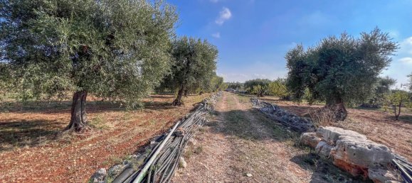 8-Zimmer Haus in Conversano, Italy, Nr. 237842 11