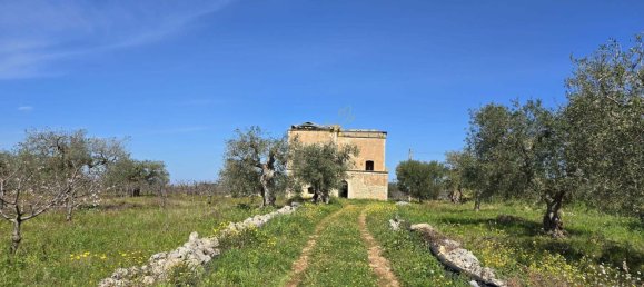 8-Zimmer Haus in Conversano, Italy, Nr. 237842 37