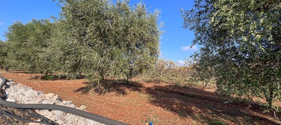 8-Zimmer Haus in Conversano, Italy, Nr. 237842 14