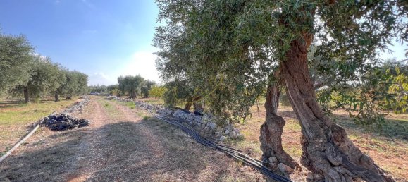 8-Zimmer Haus in Conversano, Italy, Nr. 237842 7