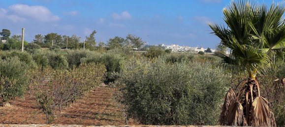 8 rooms House in Conversano, Italy No. 237842 50