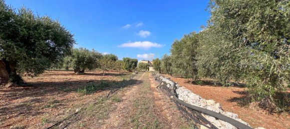 8-Zimmer Haus in Conversano, Italy, Nr. 237842 13