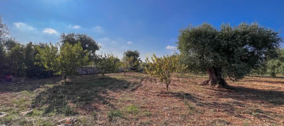 8-Zimmer Haus in Conversano, Italy, Nr. 237842 12