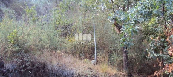  قطعة أرض في Marco de Canaveses, Portugal 5420متر مربع رقم 57468 2