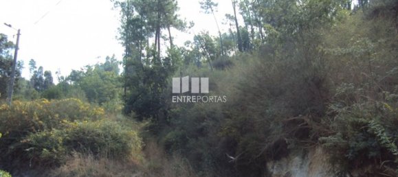  قطعة أرض في Marco de Canaveses, Portugal 5420متر مربع رقم 57468 3