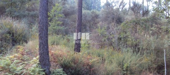  قطعة أرض في Marco de Canaveses, Portugal 5420متر مربع رقم 57468 6