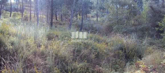  قطعة أرض في Marco de Canaveses, Portugal 5420متر مربع رقم 57468 8