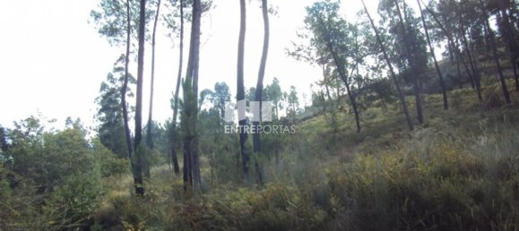  قطعة أرض في Marco de Canaveses, Portugal 5420متر مربع رقم 57468 5