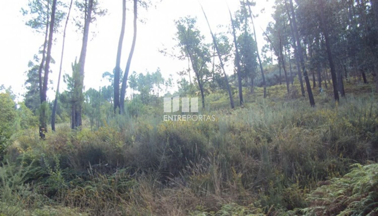  قطعة أرض في Marco de Canaveses, Portugal 5420متر مربع رقم 57468