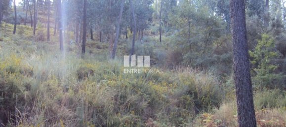  قطعة أرض في Marco de Canaveses, Portugal 5420متر مربع رقم 57468 4