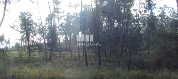  قطعة أرض في Marco de Canaveses, Portugal 5420متر مربع رقم 57468 14