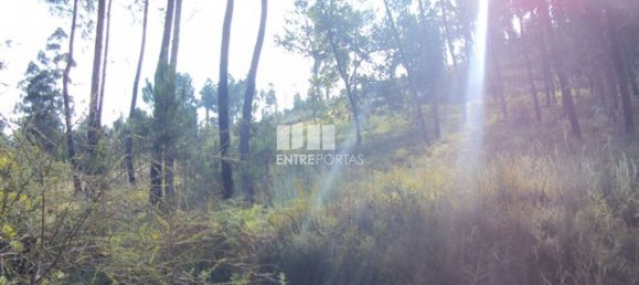  قطعة أرض في Marco de Canaveses, Portugal 5420متر مربع رقم 57468 7