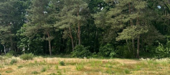 Terreno em Gifhorn, Germany N.º 337861 2