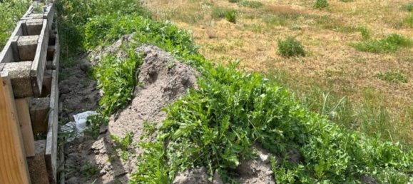 Terreno em Gifhorn, Germany N.º 337861 5