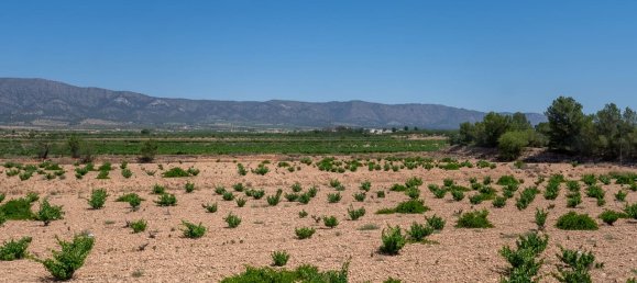 Apartamento T2 em Pinoso, Spain N.º 164221 24