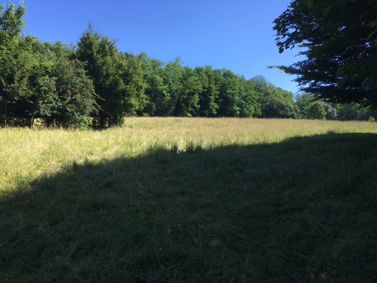 Земельный участок 12000м² в Шо-ле-Пор, Франция № 79808