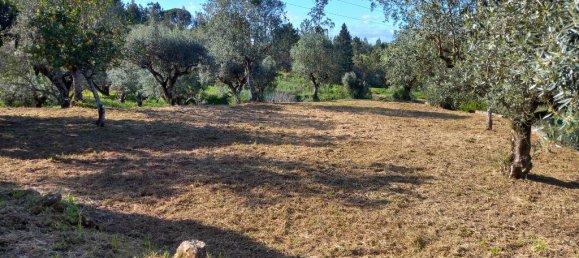 Terreno em Tomar, Portugal 840 m² N.º 79584 7