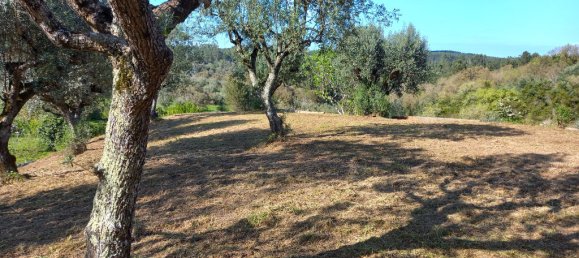 Terreno em Tomar, Portugal 840 m² N.º 79584 25