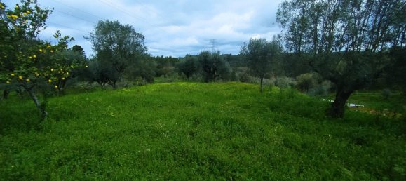 Terreno em Tomar, Portugal 840 m² N.º 79584 8