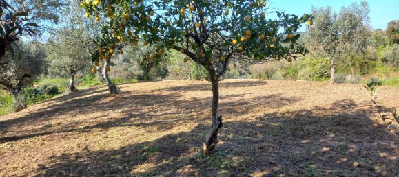 Terreno em Tomar, Portugal 840 m² N.º 79584 4