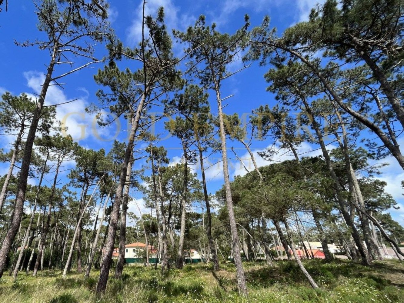 Terreno em Colares, Portugal N.º 353913