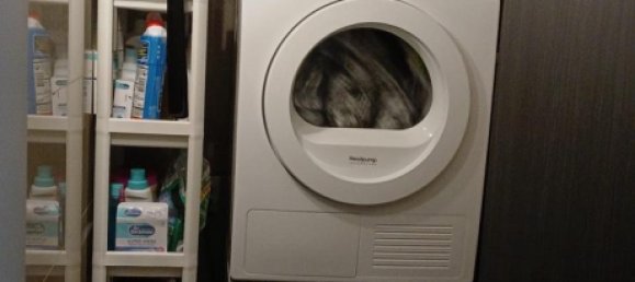 3 غرف نوم شقة في Herford, Germany رقم 279602 4