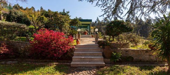 6 Schlafzimmer Haus in Santo Tirso, Portugal, Nr. 55742 15