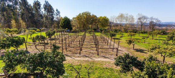 6 Schlafzimmer Haus in Santo Tirso, Portugal, Nr. 55742 21